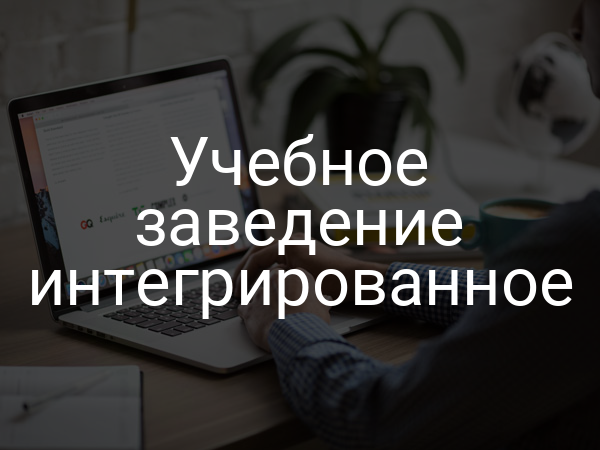 Учебное заведение интегрированное