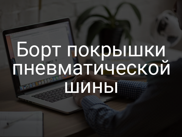 Борт покрышки пневматической шины