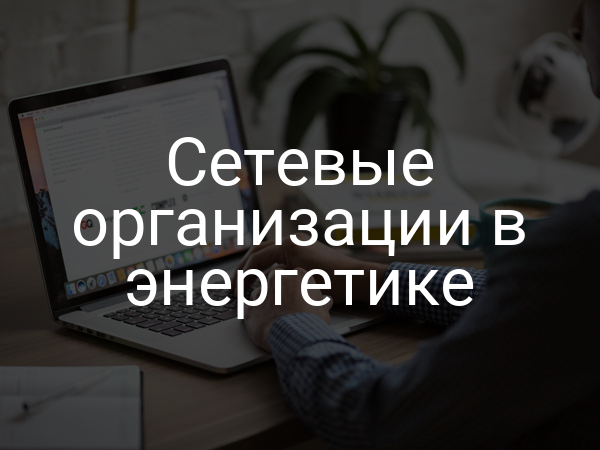 Сетевые организации в энергетике
