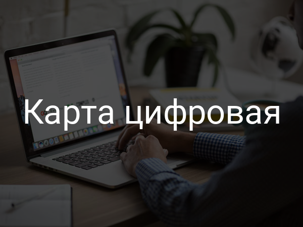 Карта цифровая