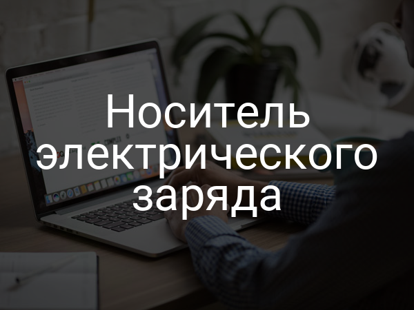 Носитель электрического заряда