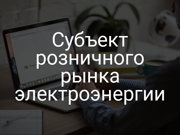 Субъект розничного рынка электроэнергии