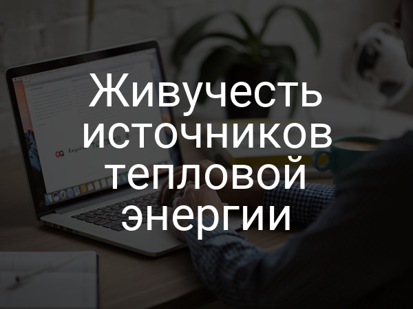 Живучесть источников тепловой энергии