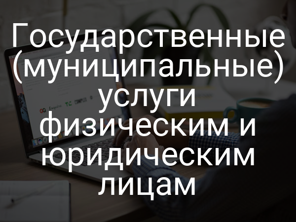 Государственные (муниципальные) услуги физическим и юридическим лицам