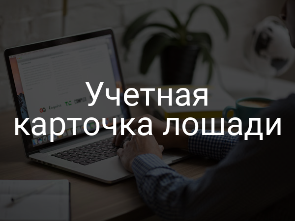 Учетная карточка лошади