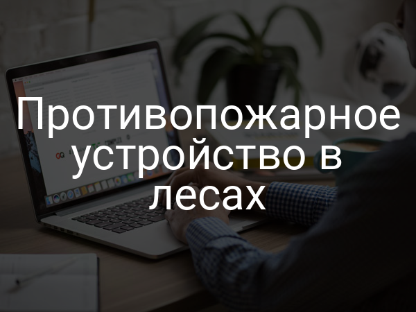 Противопожарное устройство в лесах