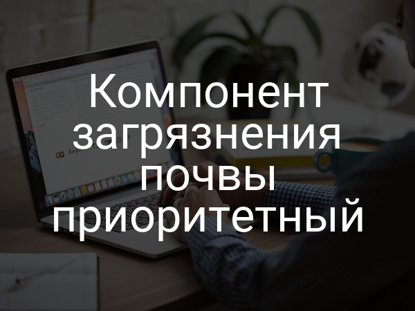Компонент загрязнения почвы приоритетный