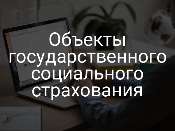 Объекты государственного социального страхования