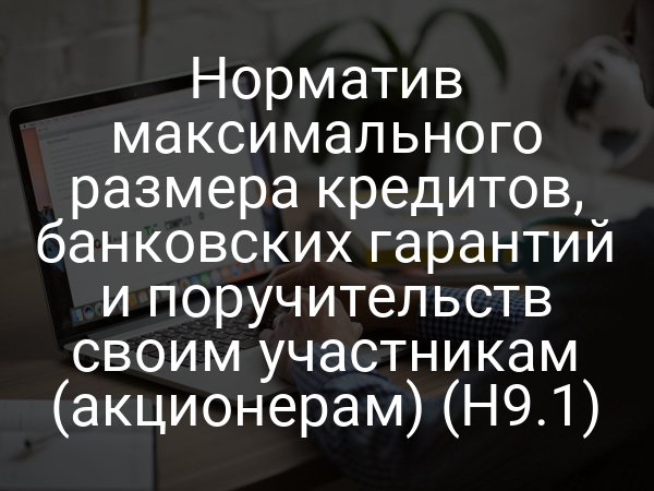 Норматив максимального размера кредитов, банковских гарантий и поручительств своим участникам (акционерам) (Н9.1)