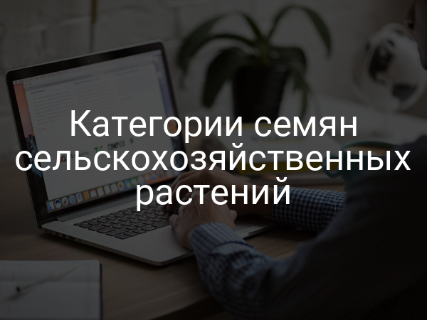 Категории семян сельскохозяйственных растений