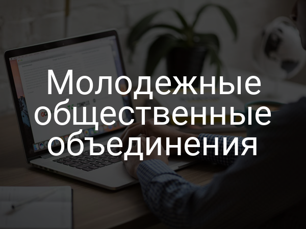 Молодежные общественные объединения