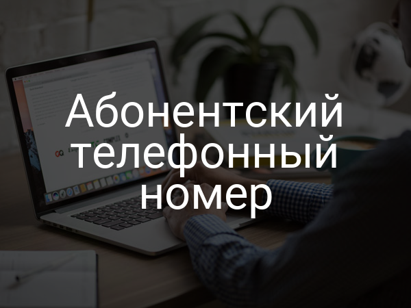 Абонентский телефонный номер