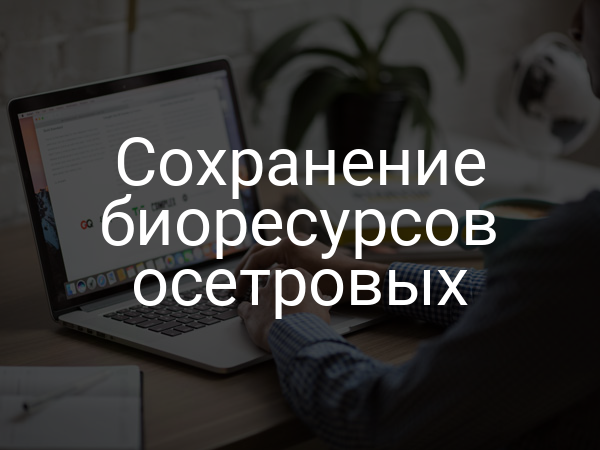 Сохранение биоресурсов осетровых
