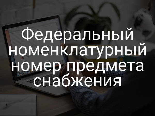 Федеральный номенклатурный номер предмета снабжения