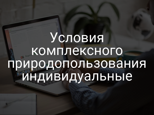 Условия комплексного природопользования индивидуальные