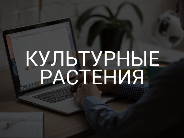 Культурные растения