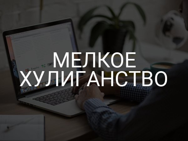 Мелкое хулиганство