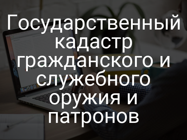 Государственный кадастр гражданского и служебного оружия и патронов