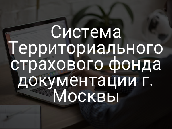 Система Территориального страхового фонда документации г. Москвы