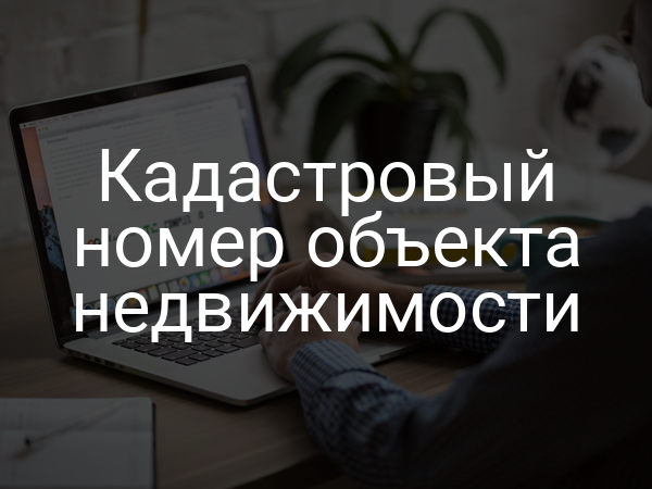 Кадастровый номер объекта недвижимости