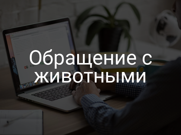 Обращение с животными