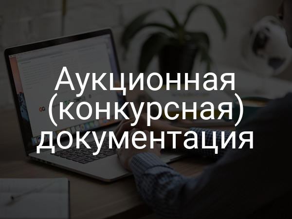 Аукционная (конкурсная) документация