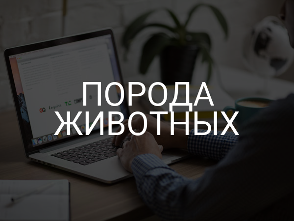 Порода животных