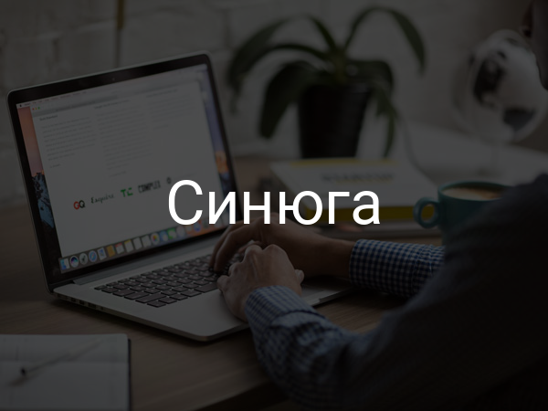 Синюга