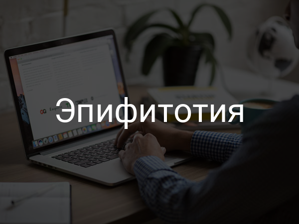 Эпифитотия