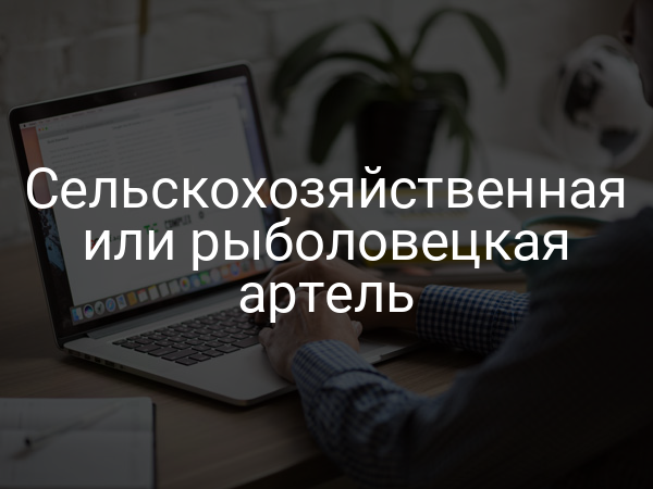 Сельскохозяйственная или рыболовецкая артель