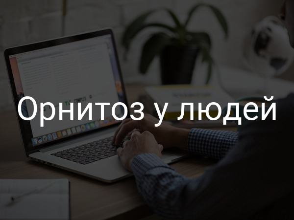 Орнитоз у людей