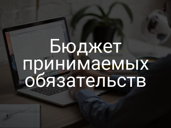 Бюджет принимаемых обязательств
