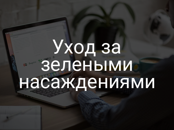 Уход за зелеными насаждениями