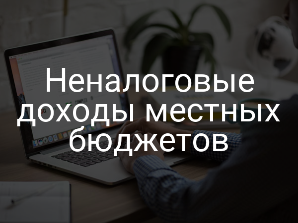 Неналоговые доходы местных бюджетов