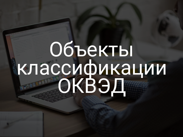 Объекты классификации ОКВЭД