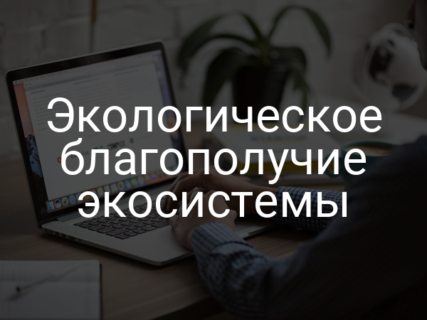 Экологическое благополучие экосистемы