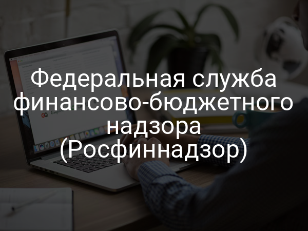 Федеральная служба финансово-бюджетного надзора (Росфиннадзор)