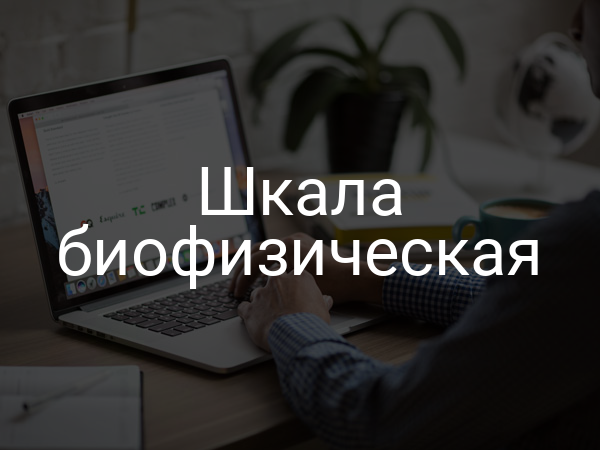 Шкала биофизическая