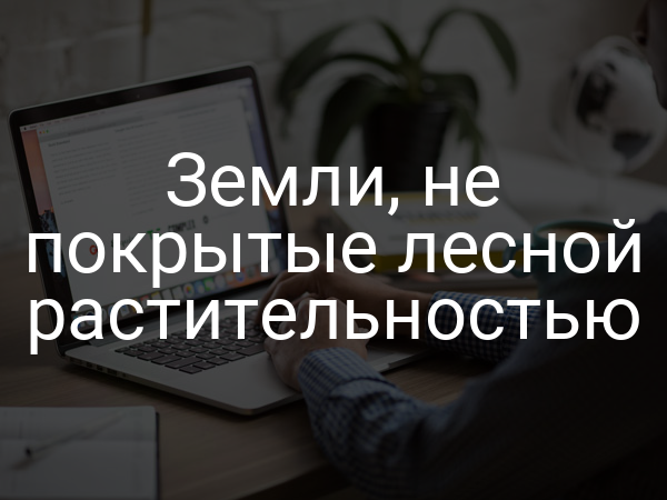 Земли, не покрытые лесной растительностью