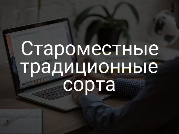 Староместные традиционные сорта