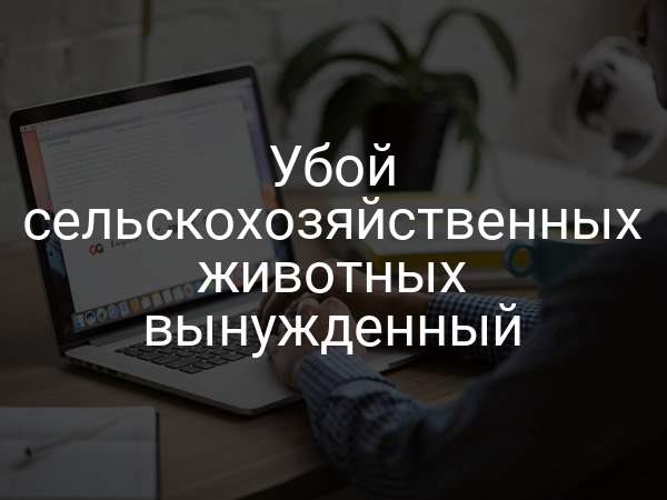 Убой сельскохозяйственных животных вынужденный
