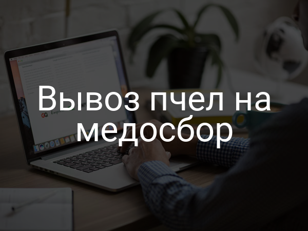 Вывоз пчел на медосбор