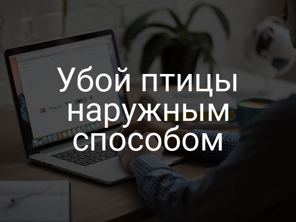 Убой птицы наружным способом