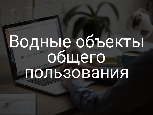 Водные объекты общего пользования