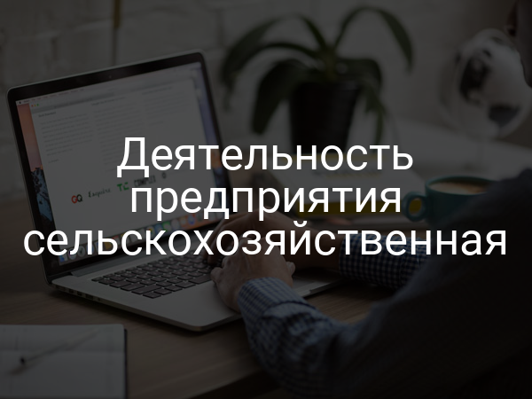 Деятельность предприятия сельскохозяйственная