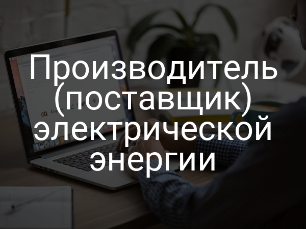 Производитель (поставщик) электрической энергии