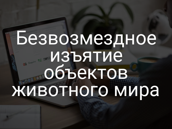 Безвозмездное изъятие объектов животного мира