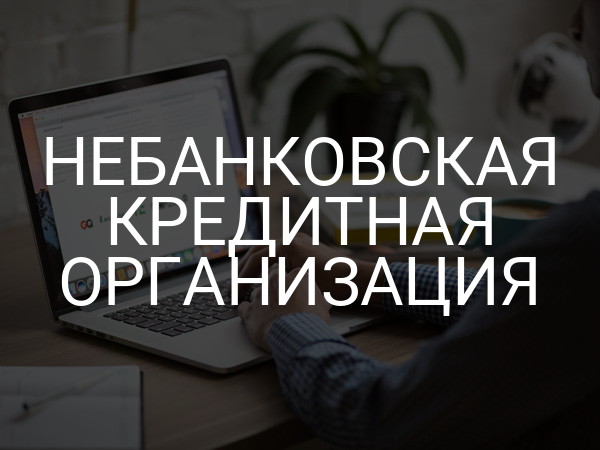 Небанковская кредитная организация