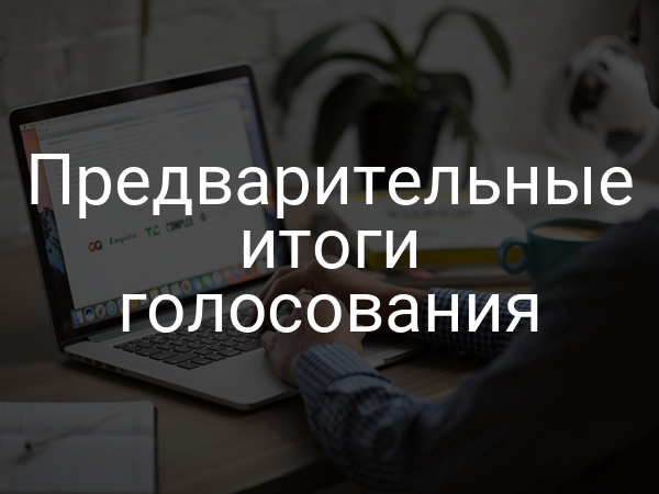 Предварительные итоги голосования
