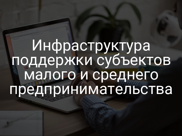 Инфраструктура поддержки субъектов малого и среднего предпринимательства